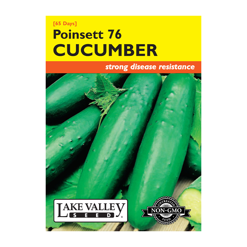 CUCUMBER POINSETT 76