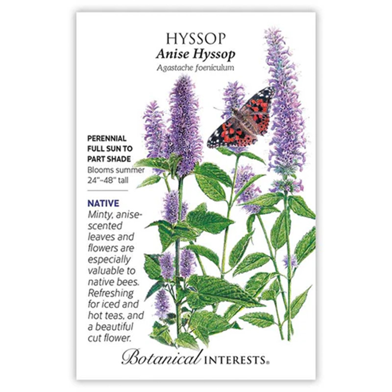 HYSSOP ANISE