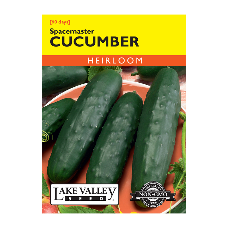 CUCUMBER SPACEMASTER