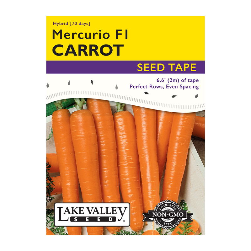 CARROT MERCURIO SEED TAPE