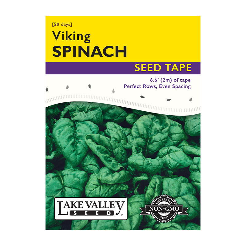 SPINICH VIKING SEED TAPE