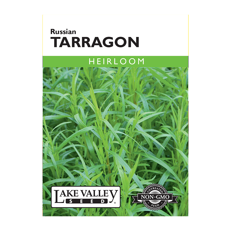 TARRAGON RUSSIAN HEIRLOOM