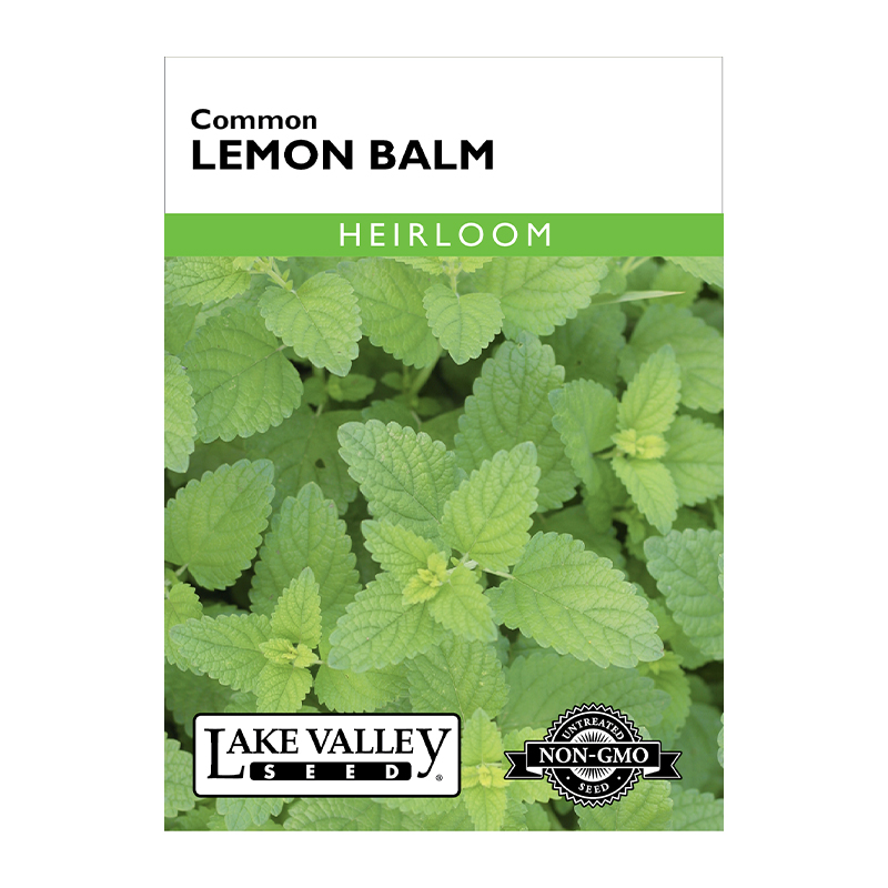 LEMON BALM HEIRLOOM