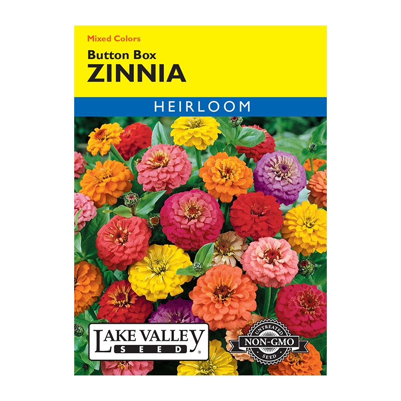 ZINNIA BUTTON BOX HEIRLOOM