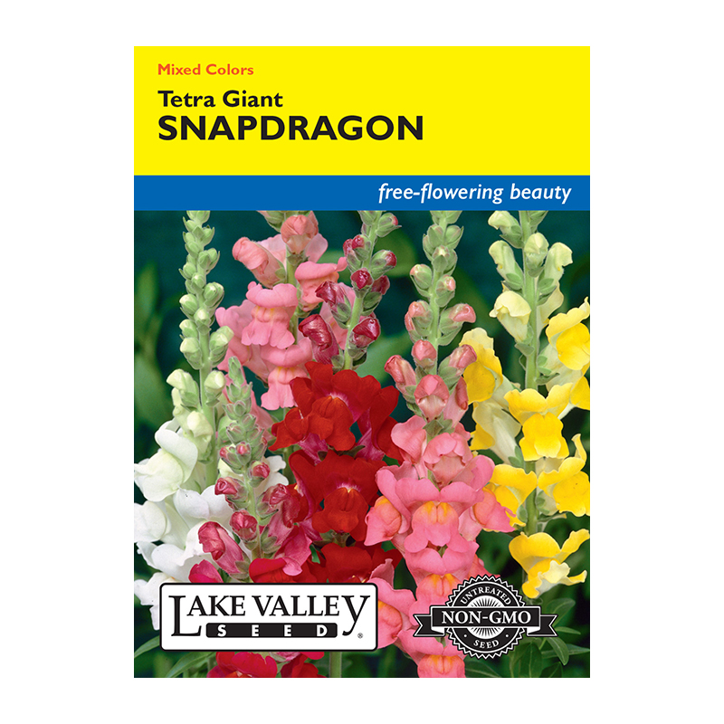 SNAPDRAGON TETRA GIANT