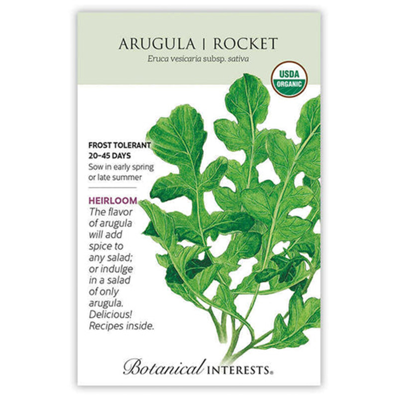 ARUGULA ROCKET SALAD ORG