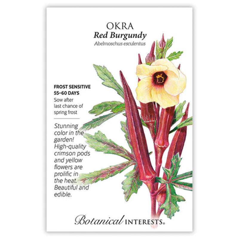 OKRA RED BURGUNDY