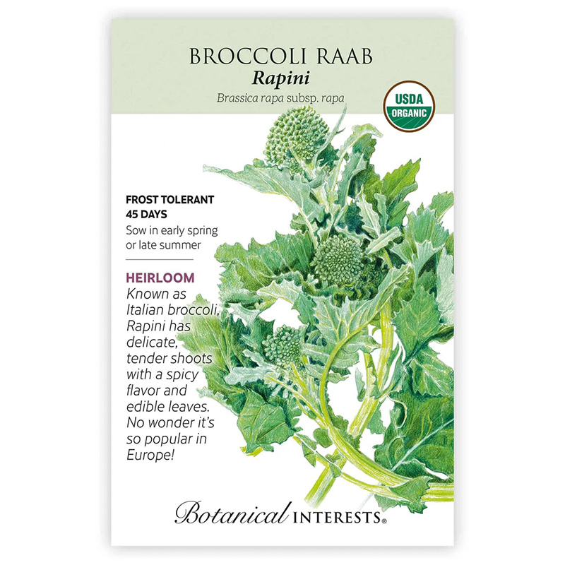 Broccoli Raab Rapini