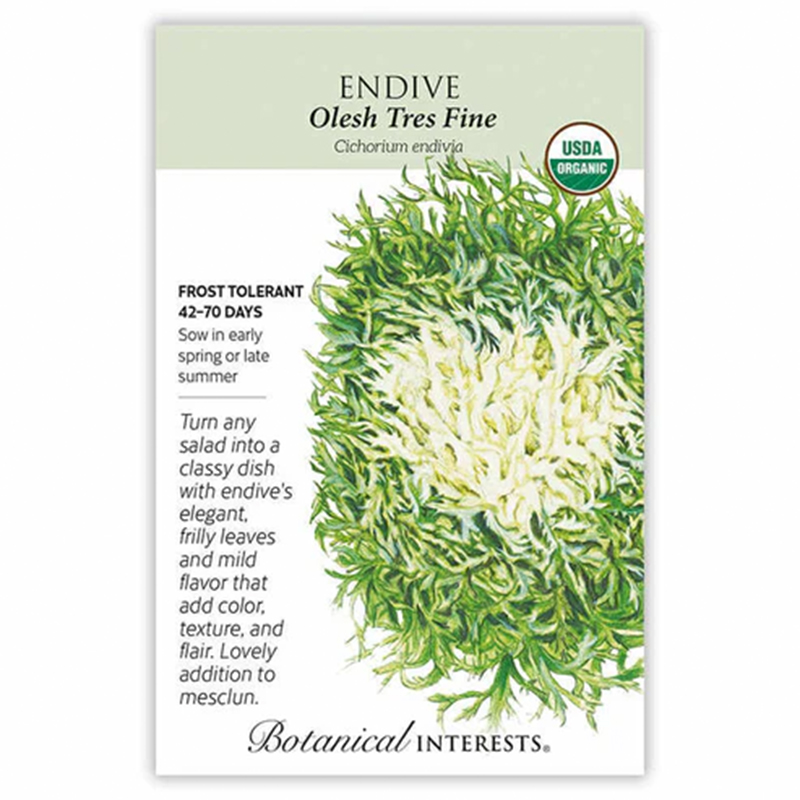 Endive Olesh Tres Fine Org