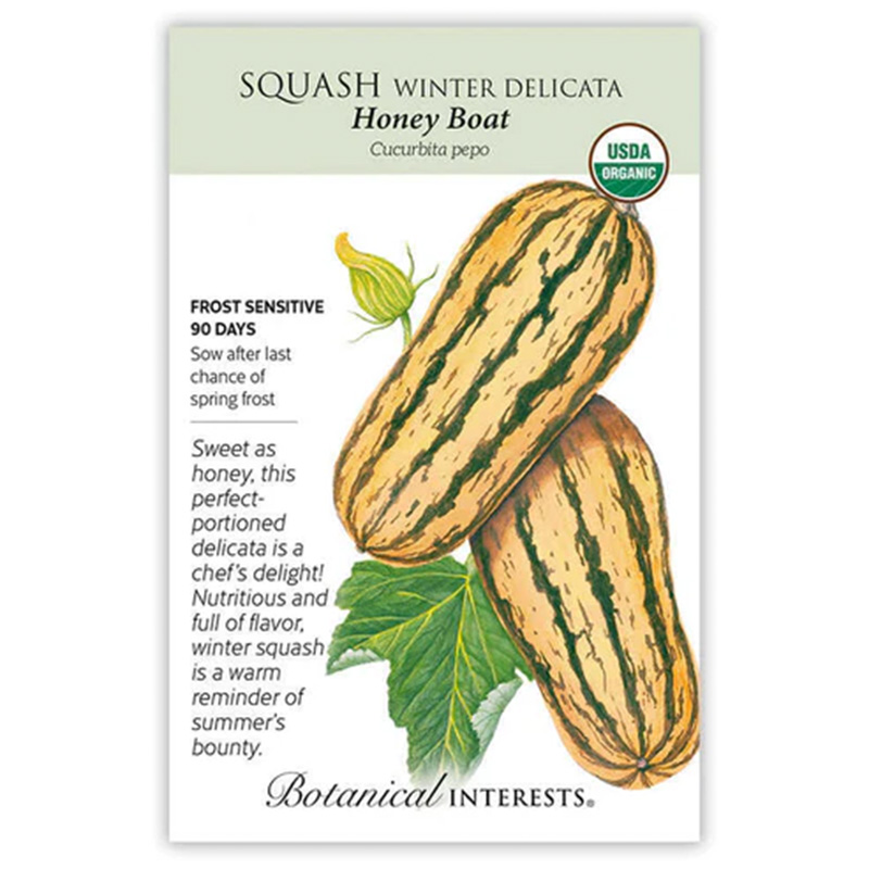 SQUASH WINTER DELICATA ORG