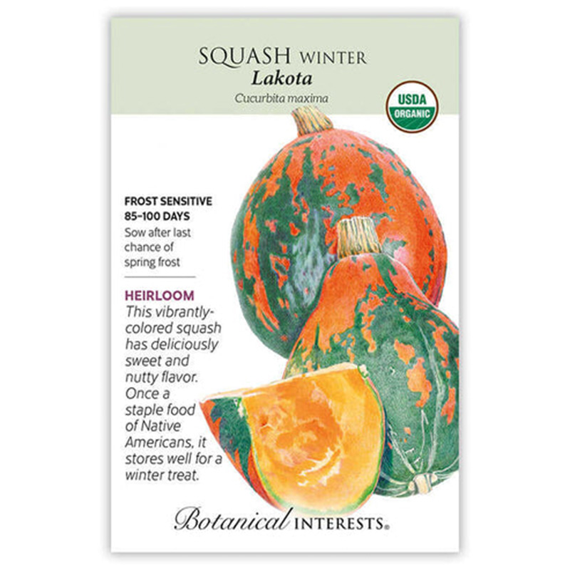 SQUASH WINTER LAKOTA ORG
