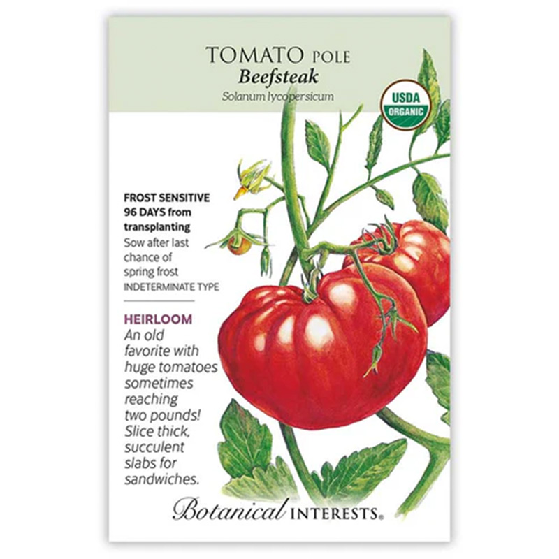 TOMATO POLE BEEFSTEAK ORG