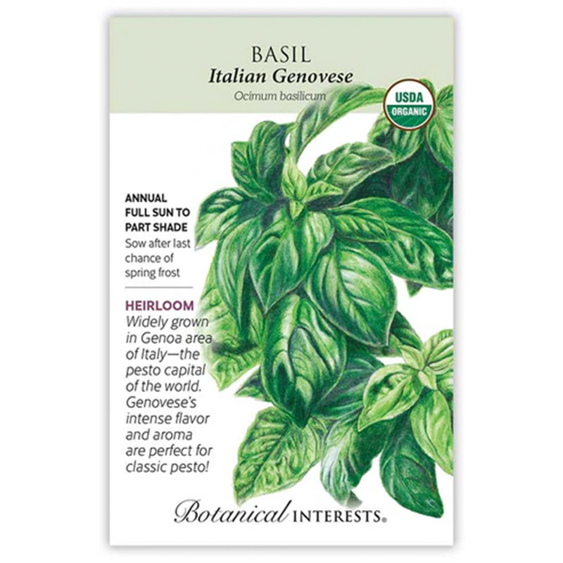 BASIL ITALIAN GENOVESE ORG