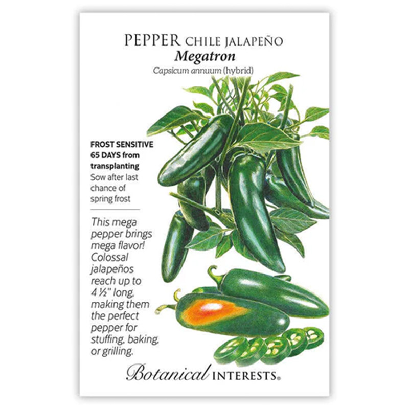 Pepper Chile Jalapeno Megatron h