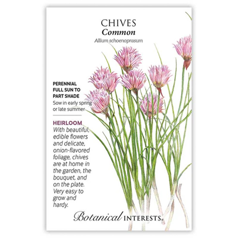 CHIVES