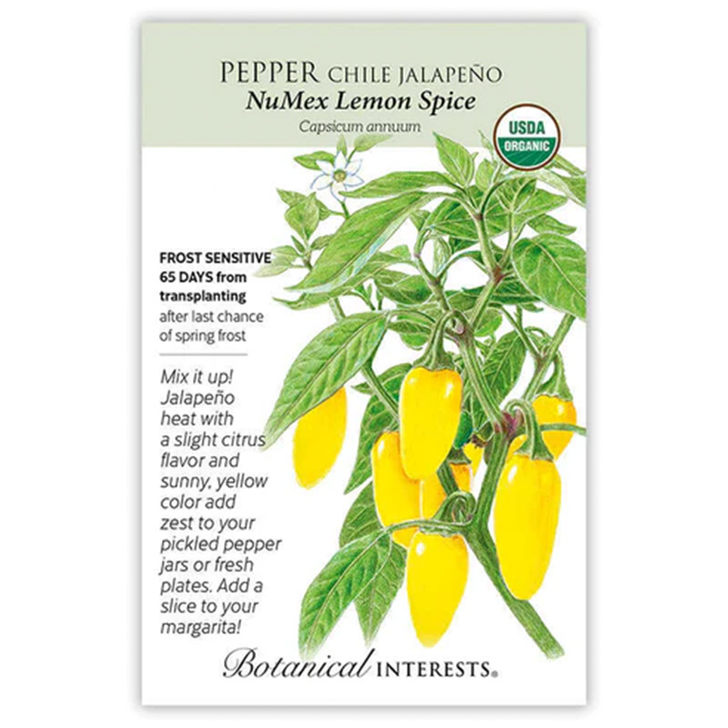 PEPPER CHILE JALAPENO LEMON ORG