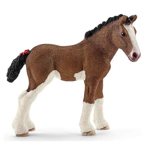 CLYDESDALE FOAL