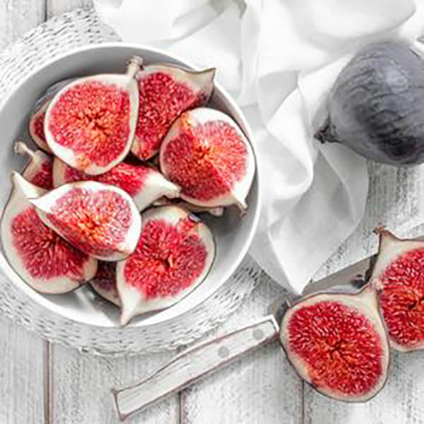 FIG 'CHICAGO HARDY' 5G