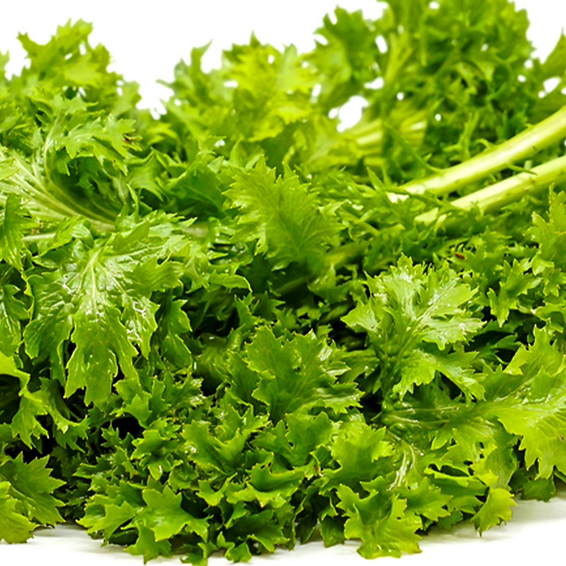 MUSTARD WASABISSIMO 4PK