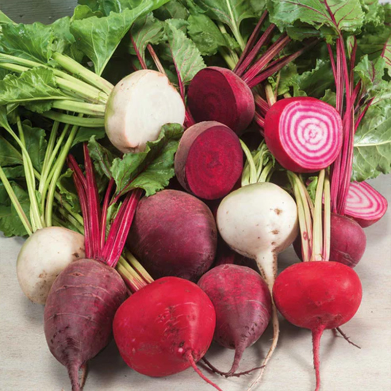 BEET RAINBOW MIX 4PK