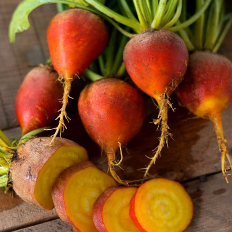 BEET TOUCH GOLD ORG 4PK