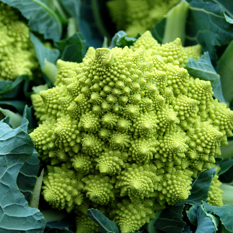 CAULIFLOWER ROM ORG 4PK