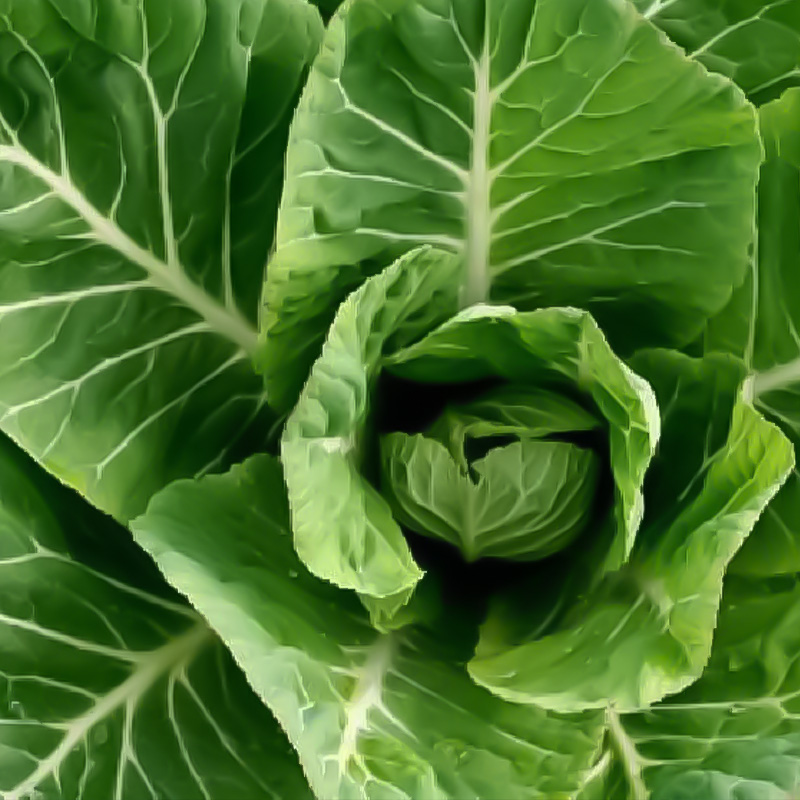COLLARDS FLASH ORG 4PK
