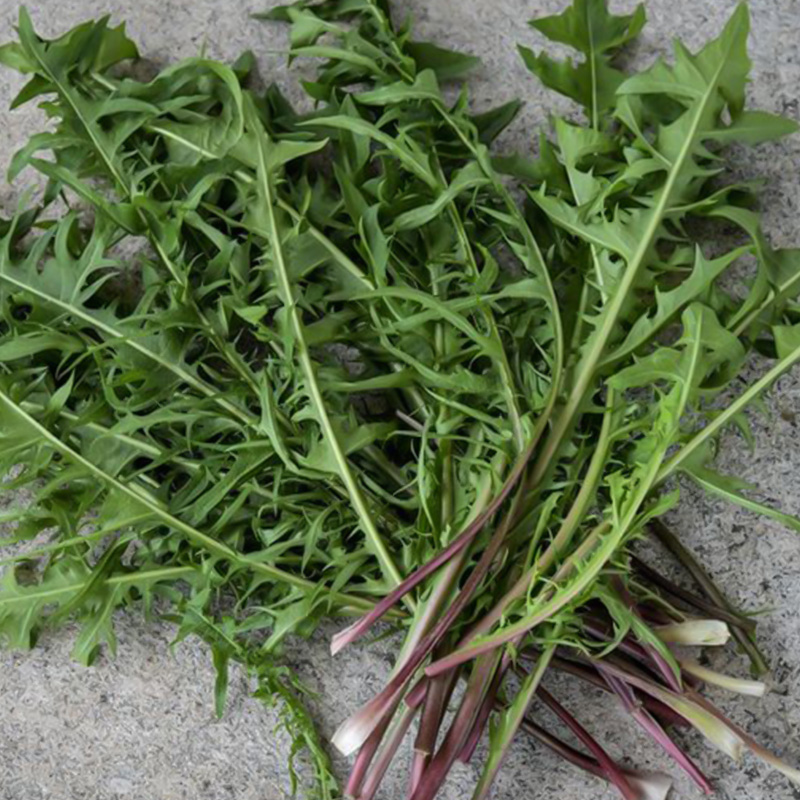 FENNEL PRELUDIO ORG 4PK