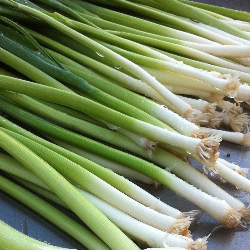 LEEKS KING RICHARD ORG 4PK