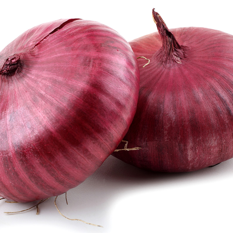 ONION CIPOLLINI ORG 4PK