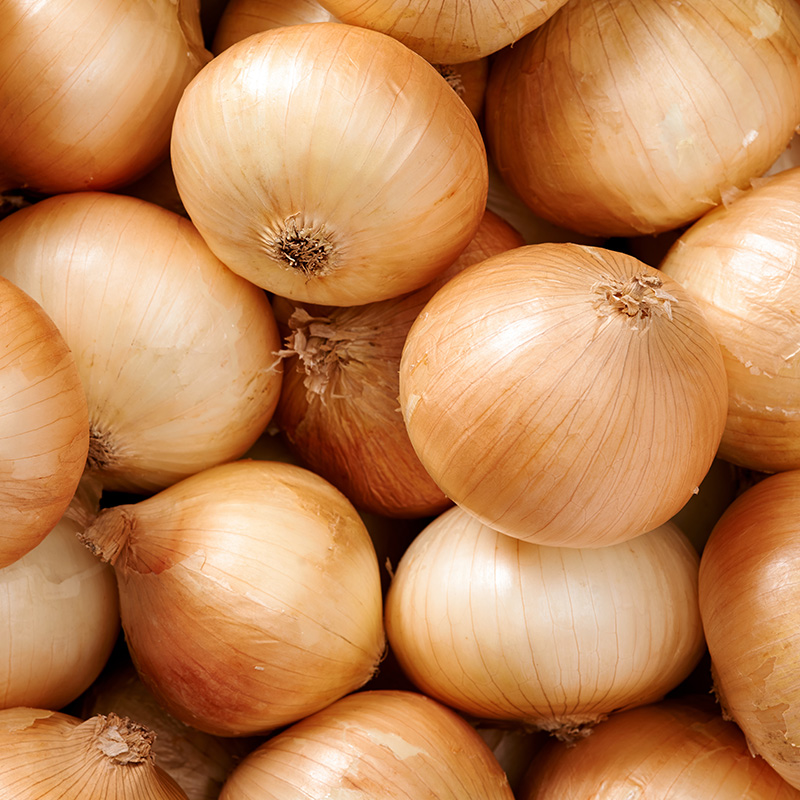 ONION CONSERVER ORG 4PK