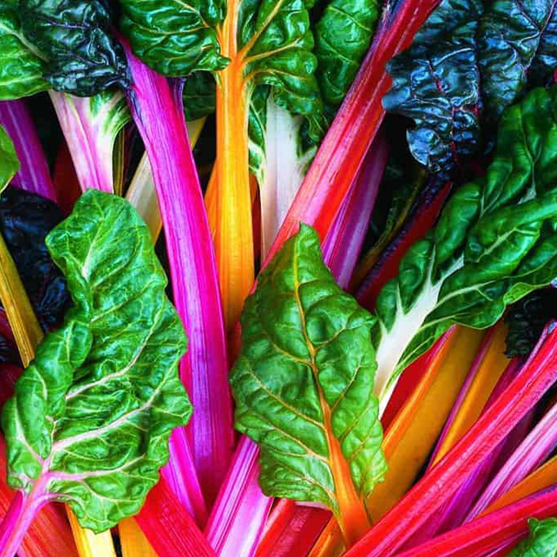 SWISS CHARD BRT LTS ORG 4PK