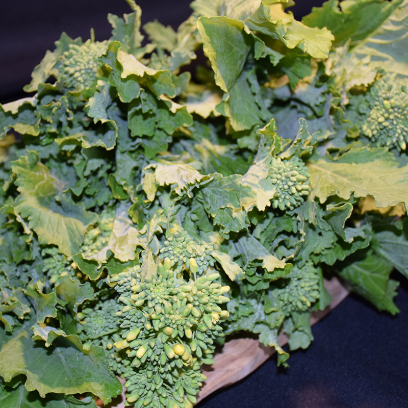 BROCCOLI RAAB ORG 4PK