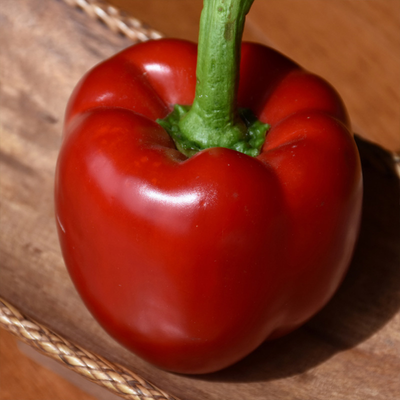 PEPPER RED KNIGHT 6"