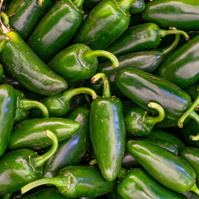 PEPPER JALAPENO MEGATRON 6"