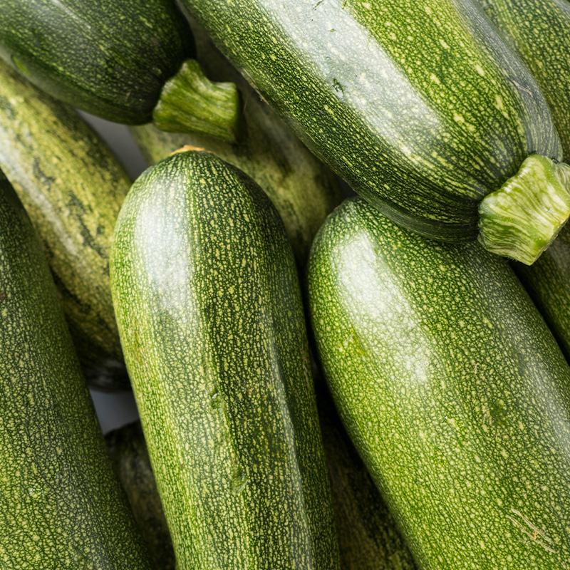 SQUASH ZUCCHINI