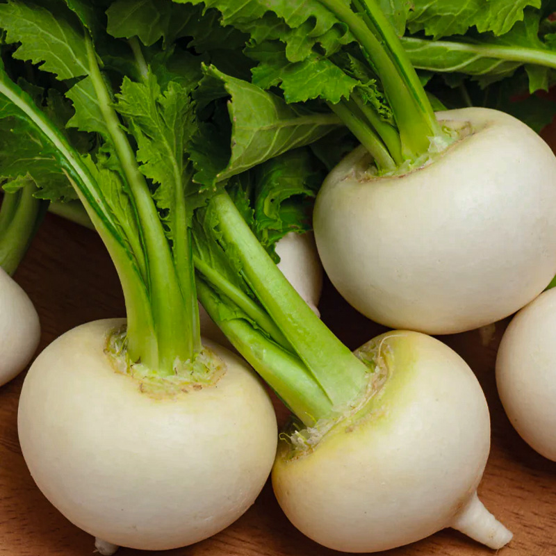 TURNIP WHITE 4PK