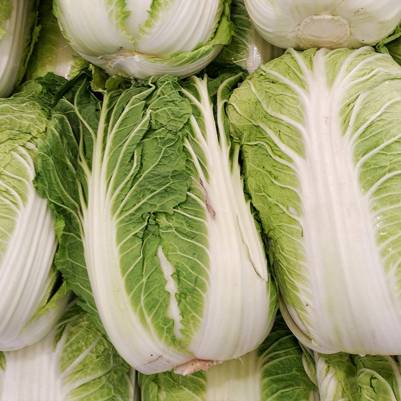 CABBAGE NAPA ORG 4PK