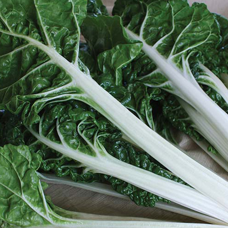 SWISS CHARD SILVERADO ORG 4PK