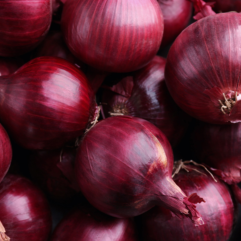 ONION RED HAWK ORG 4PK