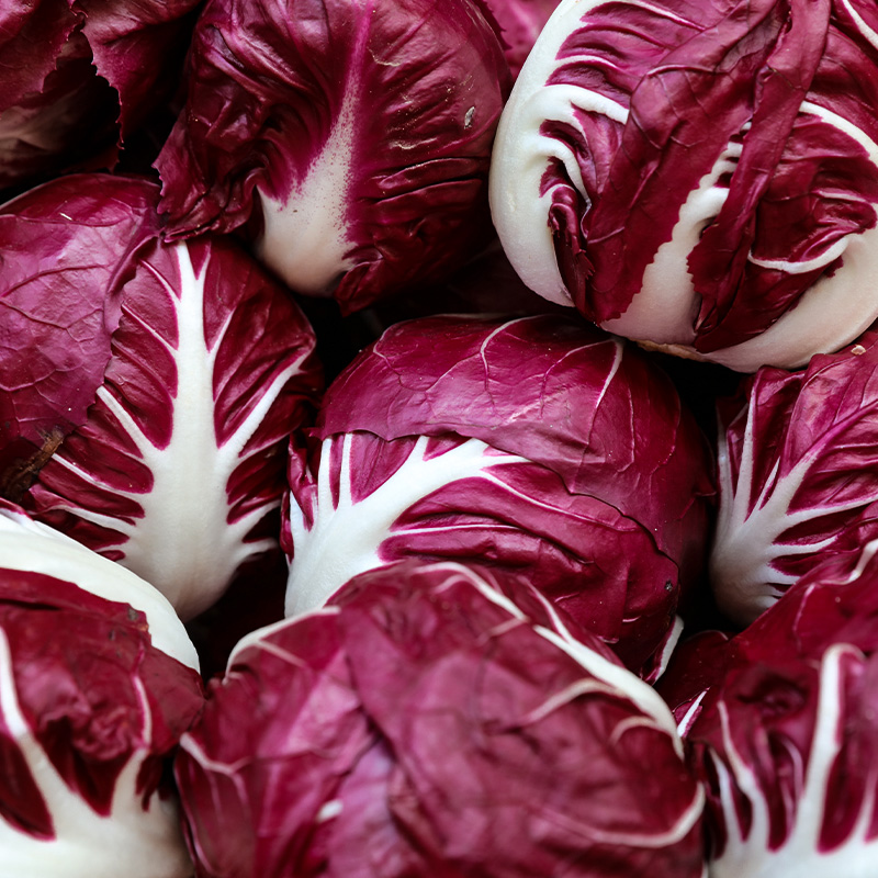 RADICCHIO INDIGO  ORG 4PK