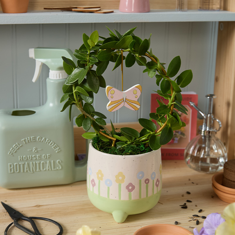 EVERDAY SPRAWLING MEADOW