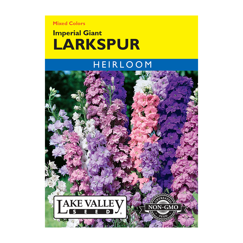 LARKSPUR IMPERIAL GIANT MXD HEI