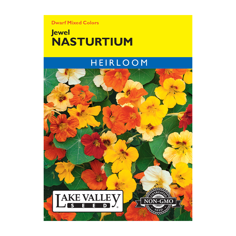 NASTURTIUM JEWL DWARF MXD HEIRL