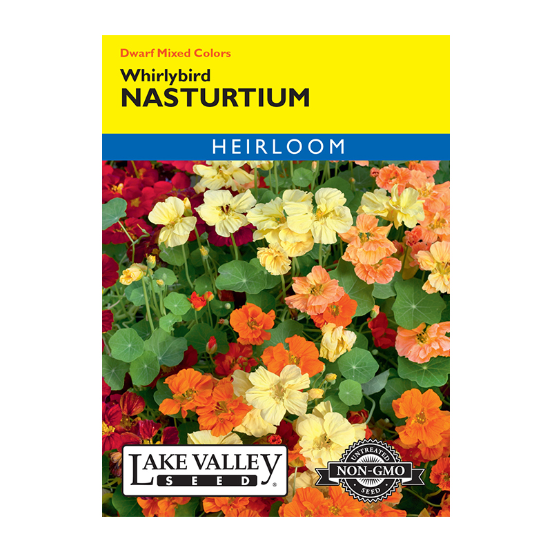 NASTURTIUM WHIRLYBIRD MXD HEIRL