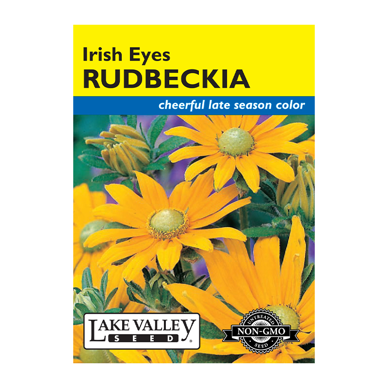 RUDBECKIA IRISH EYES