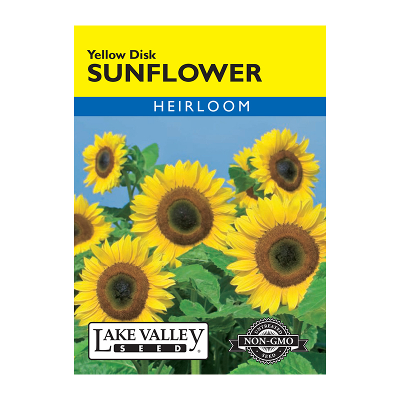 SUNFLOWER YELLOW DISK HEIRL