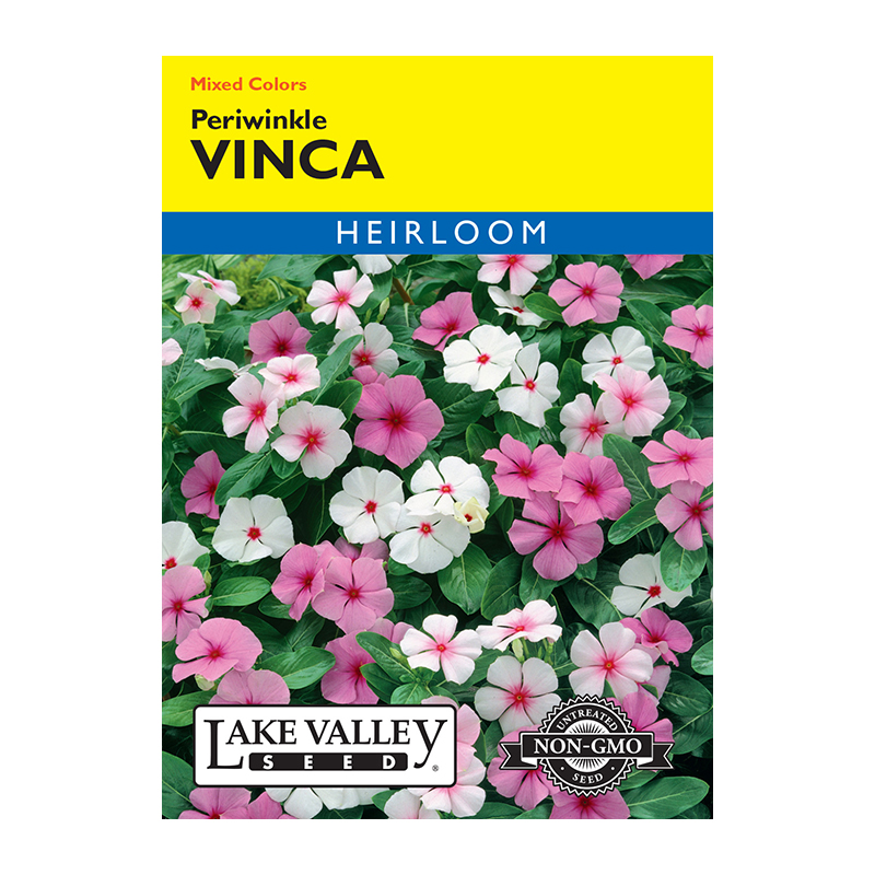 VINCA ROSEA TALL MXD (PERIWNKLE