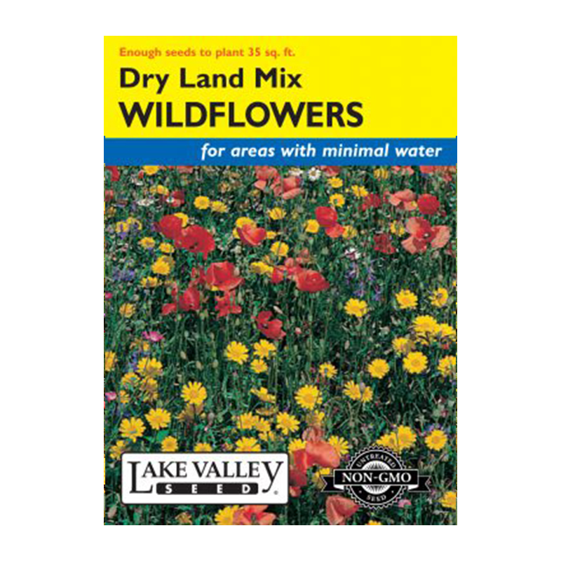 WILDFLOWERS DRY LAND MIXTURE