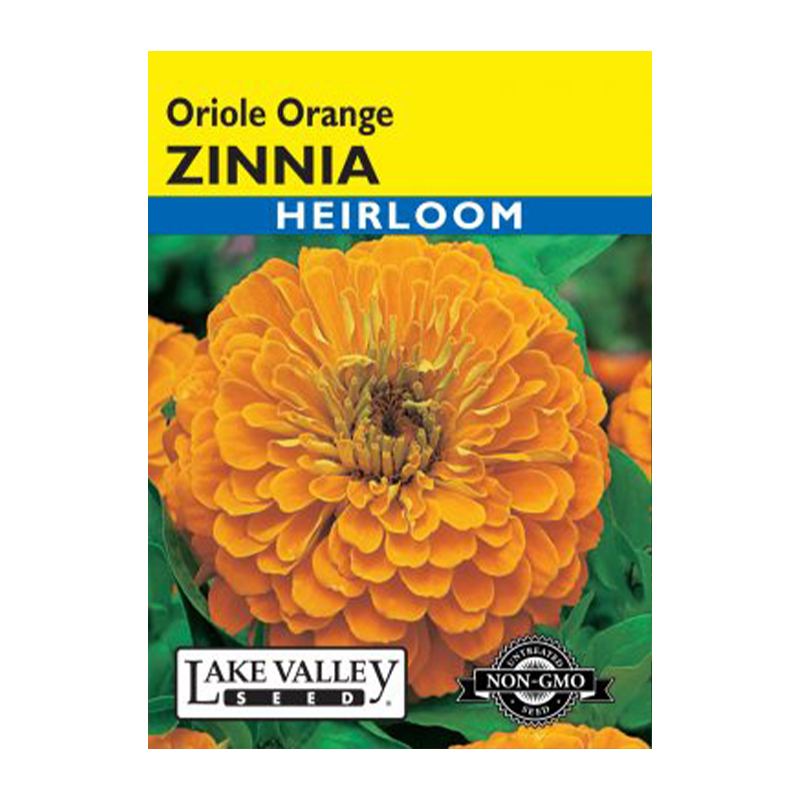 ZINNIA ORIOLE ORANGE HEIRL